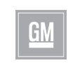 GM India